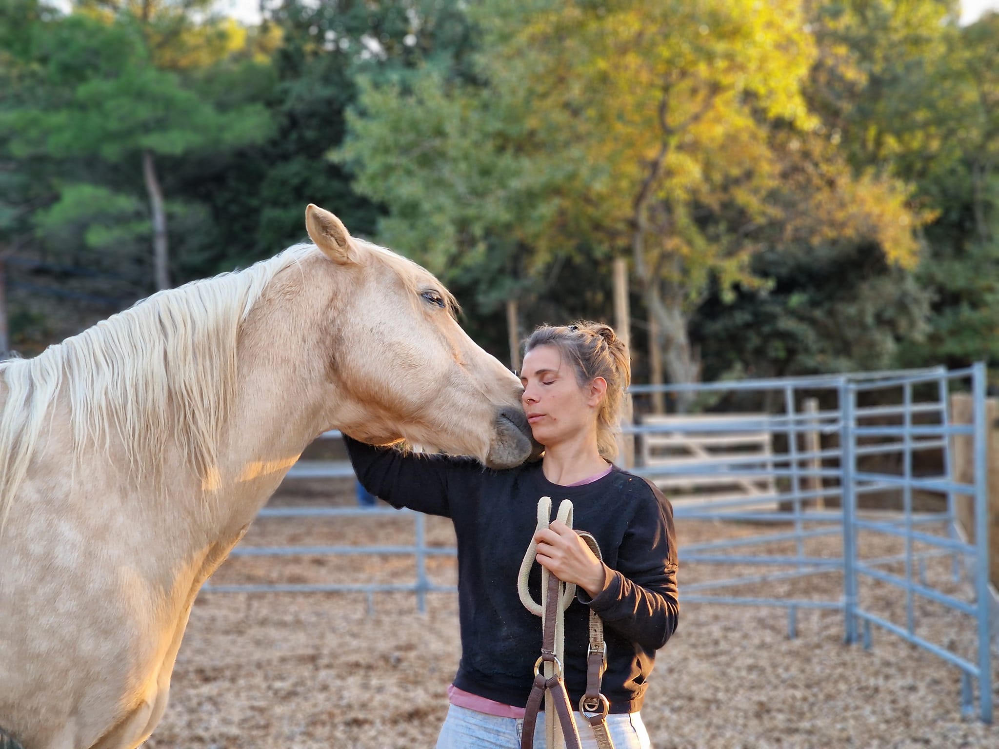 S’inspirer des chevaux pour bien commencer l’année