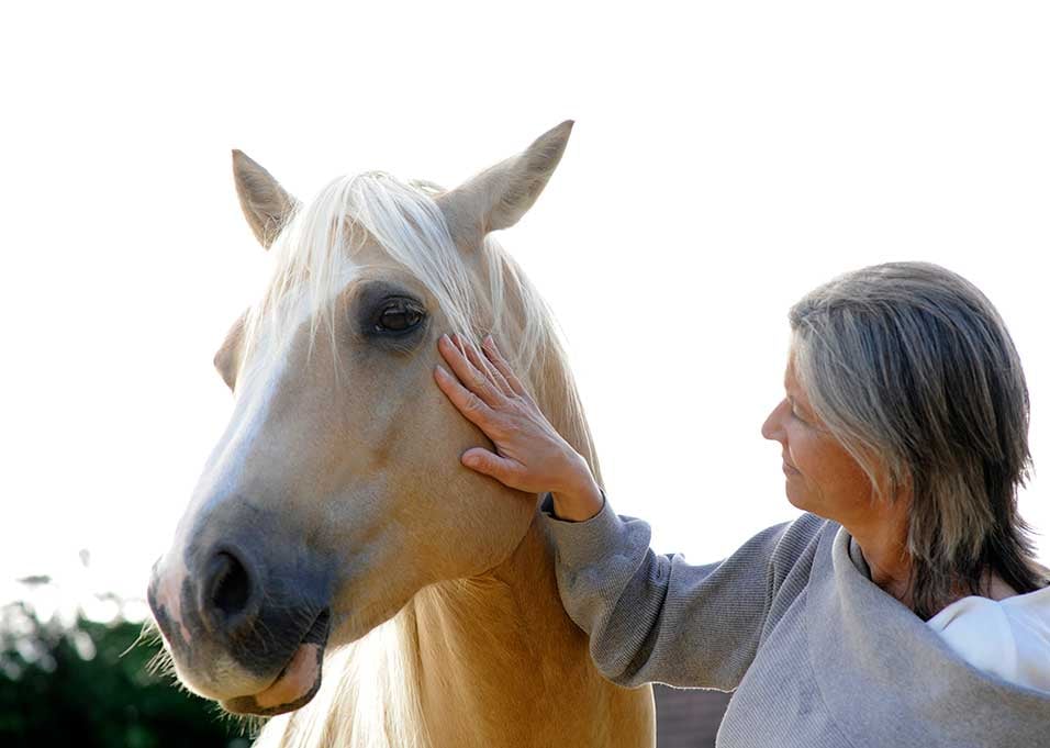 Le cheval, antidote à la pensée toute faite de l'IA Le cheval, antidote à la pensée toute faite de l'IA
