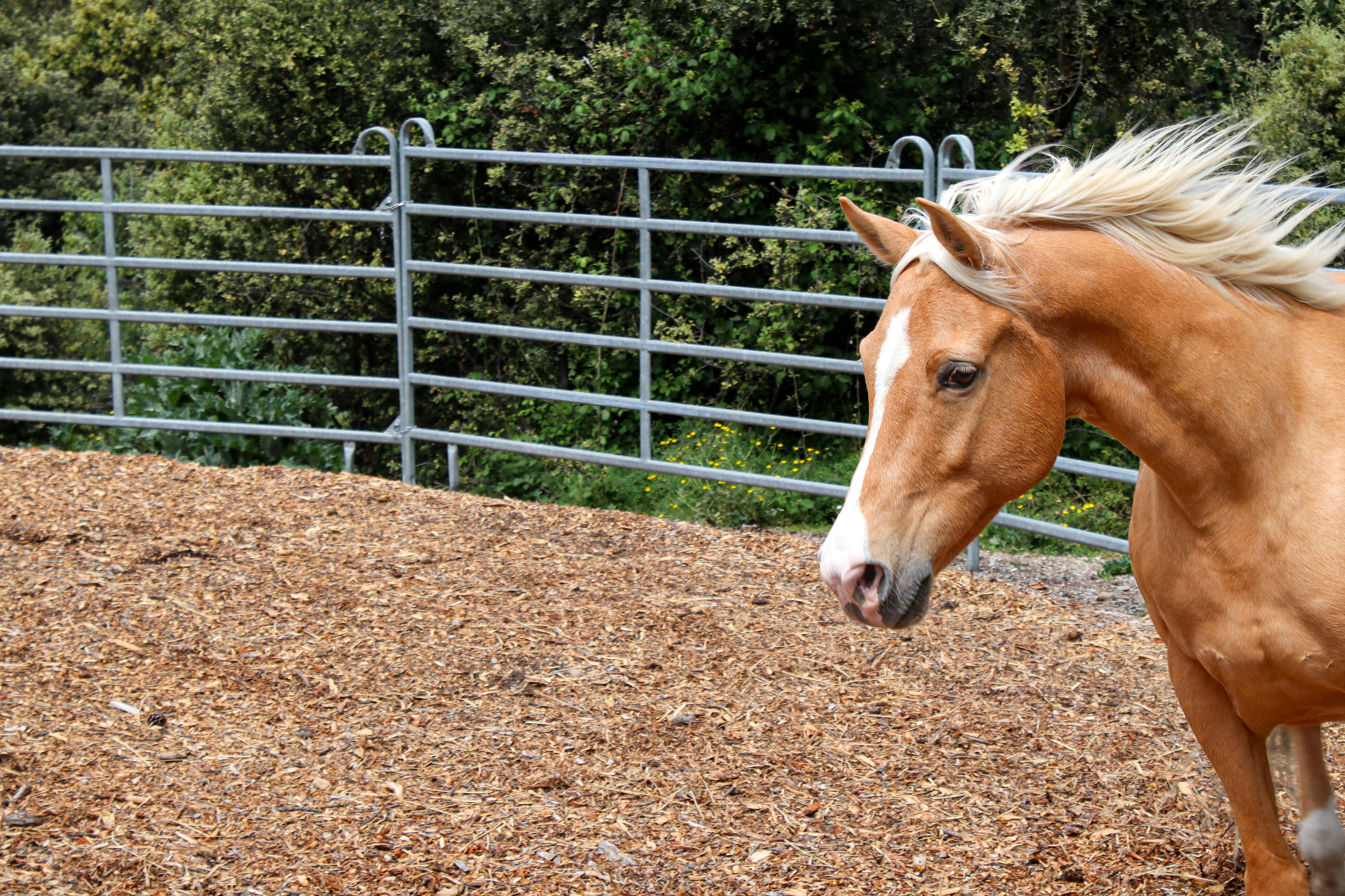 L’IFIE, partenaire des grandes entreprises L’IFIE, partenaire des grandes entreprises