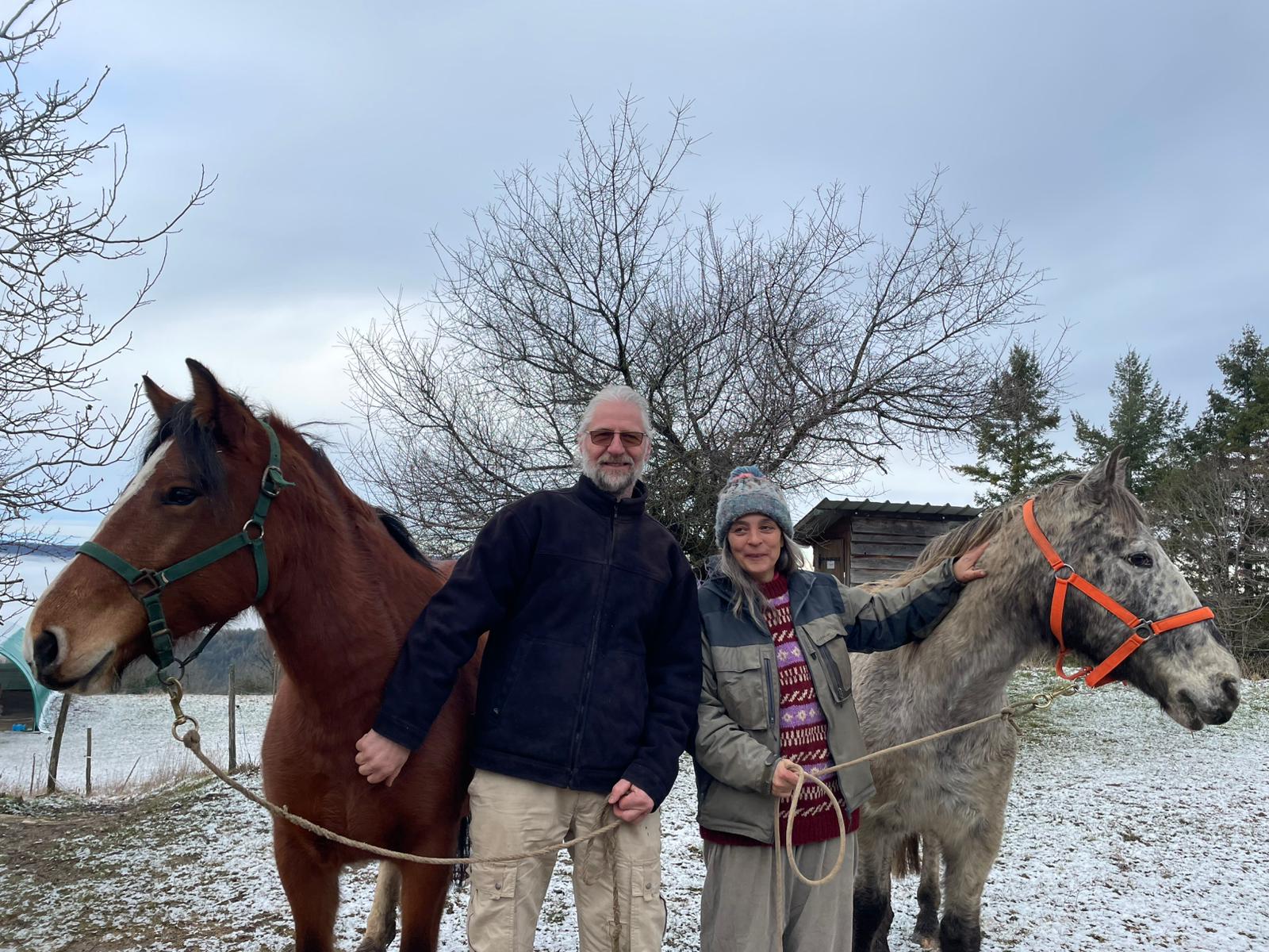 Se former à l’équicoaching à deux