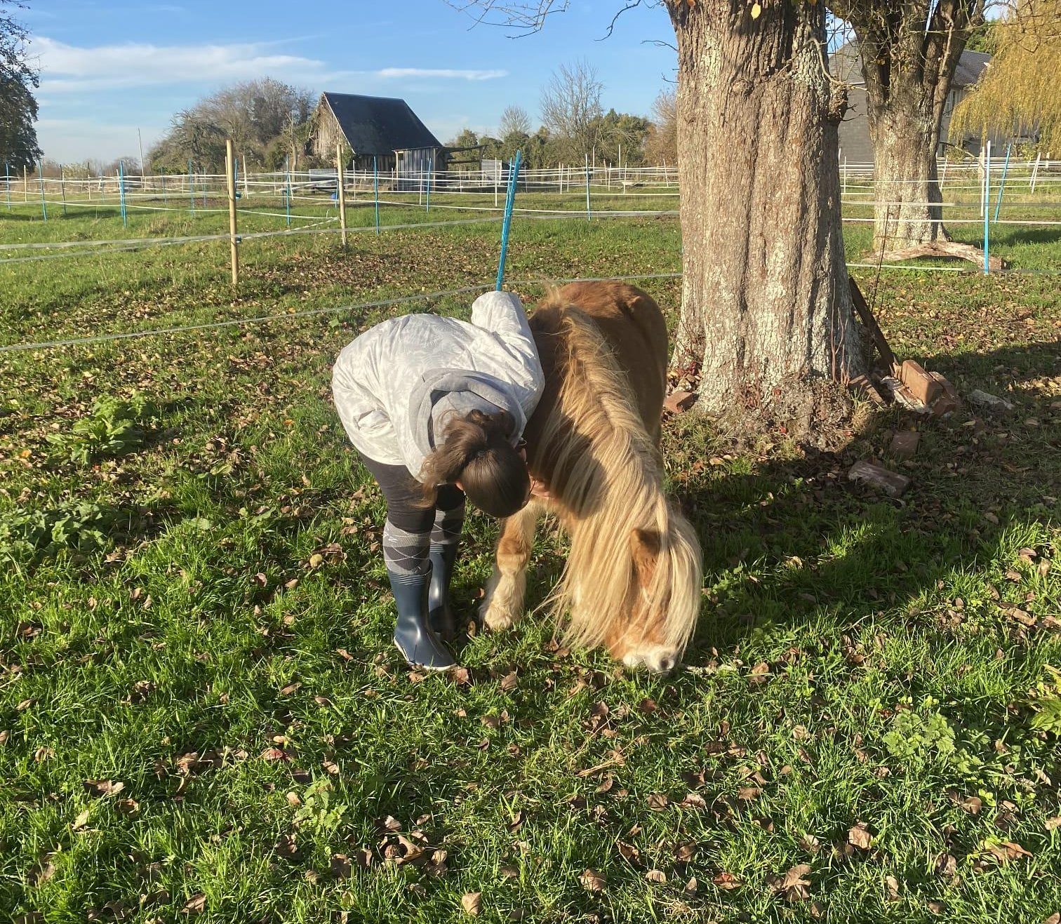 L'équicoaching pour aider des enfants à se reconstruire