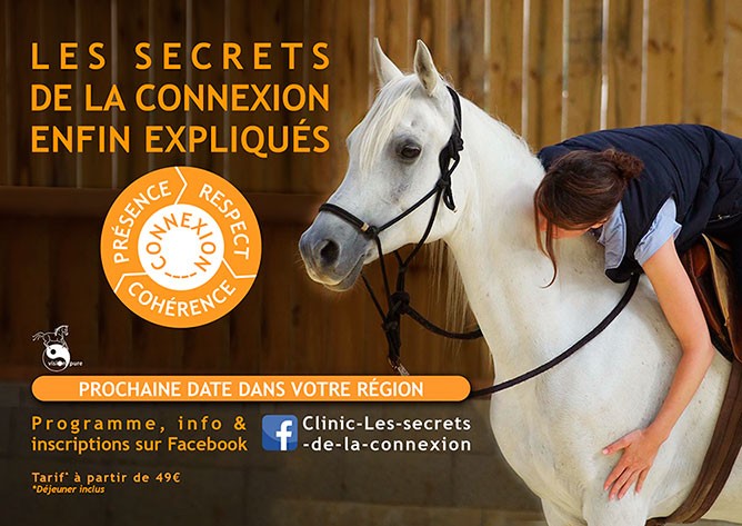 Octobre 2018 : Et si on partageait avec vous les secrets de la connexion avec le cheval ?
