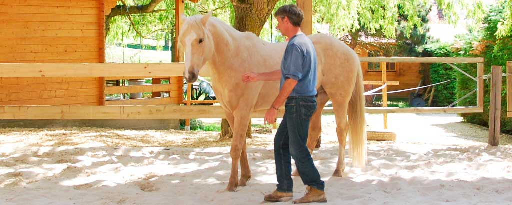 Juin 2014 - Le cheval a le droit de poser une limite !