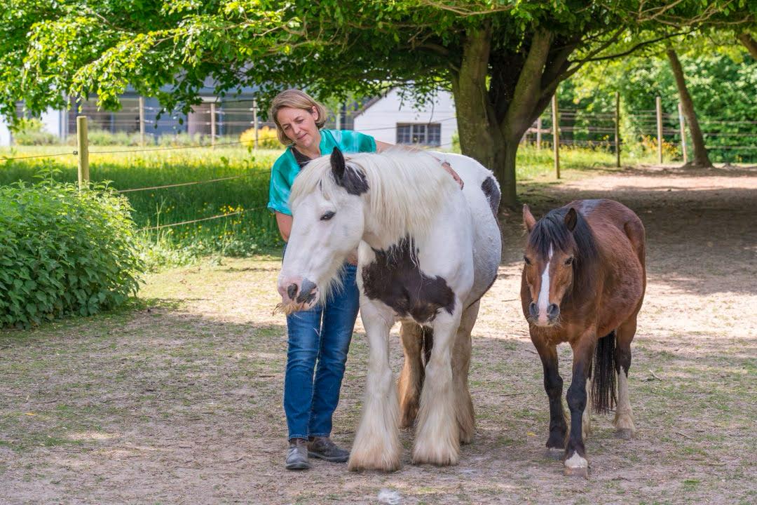 Et si l'équicoaching et l'équithérapie étaient complémentaires ?